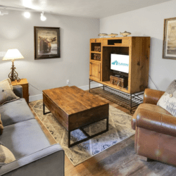 Lower level living room with pull out sofa bed.