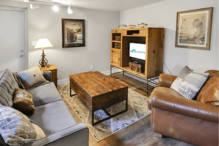 Lower level living room with pull out sofa bed.