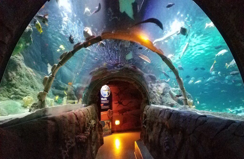 SEA LIFE Kansas City Aquarium